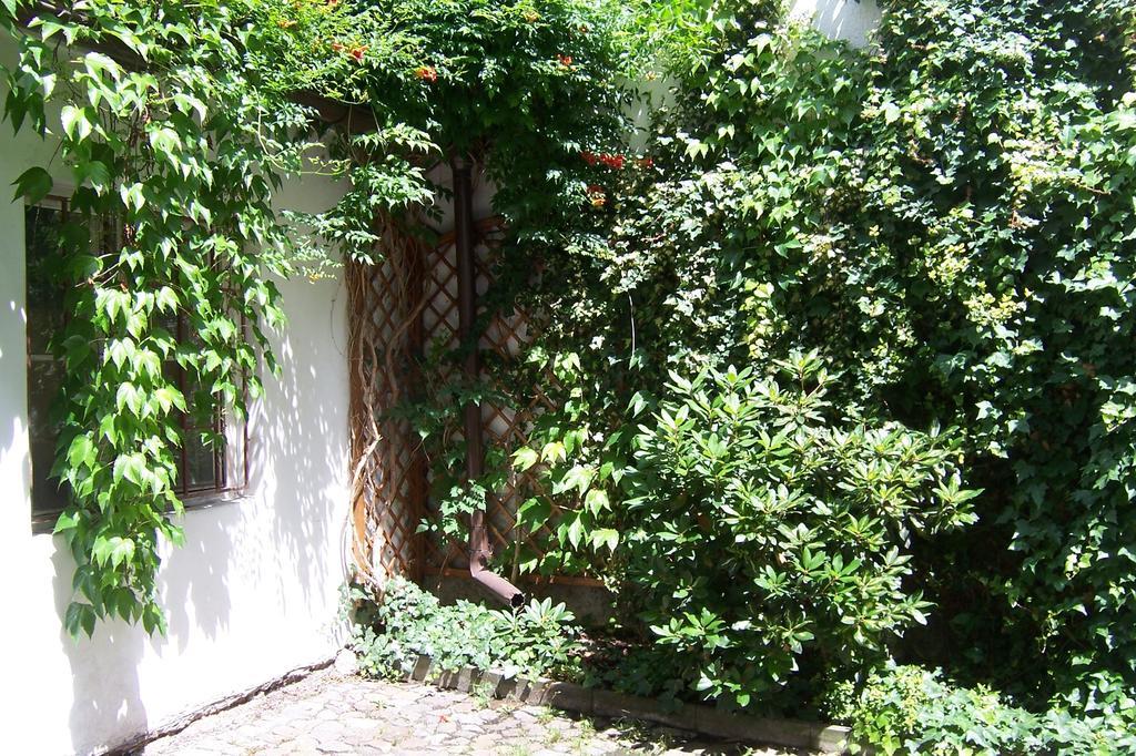 Near Lesser Town * Prag